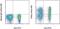 Selectin L antibody, 50-0623-82, Invitrogen Antibodies, Flow Cytometry image 