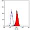 Lymphotoxin Beta Receptor antibody, GTX42955, GeneTex, Flow Cytometry image 