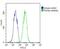 RAB7A, Member RAS Oncogene Family antibody, PA5-72549, Invitrogen Antibodies, Flow Cytometry image 