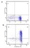 Trypsin Inhibitor A antibody, orb344908, Biorbyt, Flow Cytometry image 