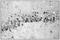 Nuclear Receptor Subfamily 3 Group C Member 1 antibody, 49-1026, Invitrogen Antibodies, Immunohistochemistry frozen image 