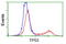 p53 antibody, LS-C172779, Lifespan Biosciences, Flow Cytometry image 