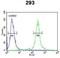 Transcription Elongation Regulator 1 Like antibody, GTX80965, GeneTex, Flow Cytometry image 