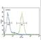 Galactosidase Alpha antibody, LS-C166494, Lifespan Biosciences, Flow Cytometry image 