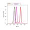Basigin (Ok Blood Group) antibody, 34-5600, Invitrogen Antibodies, Flow Cytometry image 