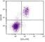 CD5 Molecule antibody, NBP1-26705, Novus Biologicals, Flow Cytometry image 
