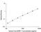 Insulin Like Growth Factor Binding Protein 1 antibody, DGB100, R&D Systems, Enzyme Linked Immunosorbent Assay image 