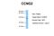 Cyclin G2 antibody, AVARP03032_T100, Aviva Systems Biology, Western Blot image 