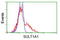 Stp antibody, TA502159, Origene, Flow Cytometry image 