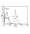 EH domain-containing protein 3 antibody, abx033412, Abbexa, Flow Cytometry image 