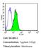 ERBB2 antibody, MA5-13105, Invitrogen Antibodies, Flow Cytometry image 