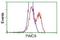 Phosphoribosylaminoimidazole Carboxylase And Phosphoribosylaminoimidazolesuccinocarboxamide Synthase antibody, NBP2-02817, Novus Biologicals, Flow Cytometry image 