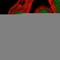 Homeobox A3 antibody, HPA029157, Atlas Antibodies, Immunofluorescence image 
