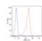 Solute Carrier Family 3 Member 2 antibody, LS-C46373, Lifespan Biosciences, Flow Cytometry image 