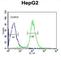 Coiled-Coil Domain Containing 85B antibody, abx034231, Abbexa, Western Blot image 