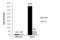 SIN3 Transcription Regulator Family Member A antibody, GTX129156, GeneTex, Chromatin Immunoprecipitation image 