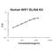 Wnt inhibitory factor 1 antibody, EK1524, Boster Biological Technology, Enzyme Linked Immunosorbent Assay image 