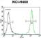 Diacylglycerol Kinase Theta antibody, abx033885, Abbexa, Flow Cytometry image 