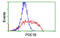 Phosphodiesterase 1B antibody, MBS834004, MyBioSource, Flow Cytometry image 