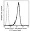 L1 Cell Adhesion Molecule antibody, GTX02026, GeneTex, Flow Cytometry image 