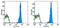 Ly76 antibody, 11-5921-82, Invitrogen Antibodies, Flow Cytometry image 