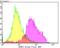 SUMO Specific Peptidase 1 antibody, NBP2-76867, Novus Biologicals, Flow Cytometry image 