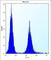 EF-Hand Calcium Binding Domain 7 antibody, abx027795, Abbexa, Western Blot image 