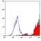 CD11b antibody, NB600-1327AF488, Novus Biologicals, Flow Cytometry image 