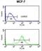 MOB Kinase Activator 2 antibody, LS-C166806, Lifespan Biosciences, Flow Cytometry image 