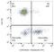 Neural Cell Adhesion Molecule 1 antibody, GTX75714, GeneTex, Flow Cytometry image 