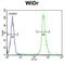 VPS26, Retromer Complex Component A antibody, abx034080, Abbexa, Flow Cytometry image 