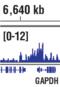 Lysine Demethylase 5B antibody, 15327S, Cell Signaling Technology, Chromatin Immunoprecipitation image 
