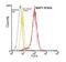 TNF Receptor Superfamily Member 17 antibody, NBP1-97637, Novus Biologicals, Flow Cytometry image 