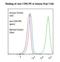 CD81 Molecule antibody, LS-C134652, Lifespan Biosciences, Flow Cytometry image 