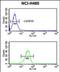 Interleukin 36 Beta antibody, PA5-72604, Invitrogen Antibodies, Flow Cytometry image 