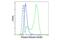 Ribosomal Protein S27a antibody, 70973S, Cell Signaling Technology, Flow Cytometry image 