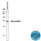 Hepatocyte Nuclear Factor 4 Alpha antibody, MAB4605, R&D Systems, Western Blot image 