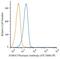 Protein S100-A7 antibody, NB100-56559, Novus Biologicals, Flow Cytometry image 