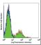 Neural Cell Adhesion Molecule 1 antibody, orb87730, Biorbyt, Flow Cytometry image 