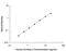 Enolase 2 antibody, DENL20, R&D Systems, Enzyme Linked Immunosorbent Assay image 