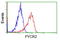 Pyrroline-5-Carboxylate Reductase 2 antibody, GTX83752, GeneTex, Flow Cytometry image 