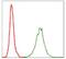 Nfl antibody, NBP2-37525, Novus Biologicals, Flow Cytometry image 