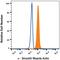 Actin Alpha 2, Smooth Muscle antibody, IC1420G, R&D Systems, Flow Cytometry image 