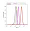 WT1 Transcription Factor antibody, PA5-16879, Invitrogen Antibodies, Flow Cytometry image 