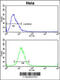 Alcohol Dehydrogenase 6 (Class V) antibody, 63-836, ProSci, Flow Cytometry image 