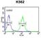 Reticulon 4 Receptor Like 1 antibody, abx032462, Abbexa, Flow Cytometry image 