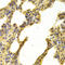NDRG Family Member 2 antibody, LS-C333981, Lifespan Biosciences, Immunohistochemistry frozen image 
