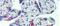 Zinc Finger Protein 71 antibody, 25-524, ProSci, Immunohistochemistry paraffin image 