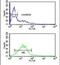 Phospholamban antibody, PA5-26004, Invitrogen Antibodies, Flow Cytometry image 