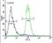 Angiopoietin 2 antibody, PA5-23612, Invitrogen Antibodies, Flow Cytometry image 